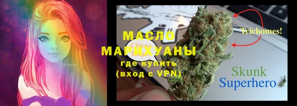 эйфоретик Бородино