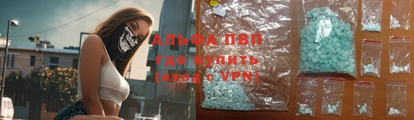 эйфоретик Бородино
