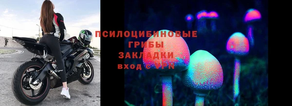 эйфоретик Бородино