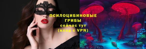 мяу мяу мука Бугульма