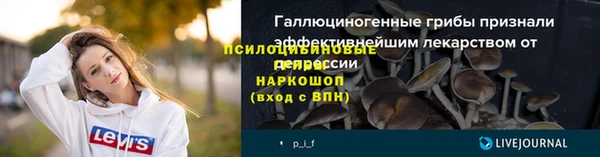 ECSTASY Бронницы