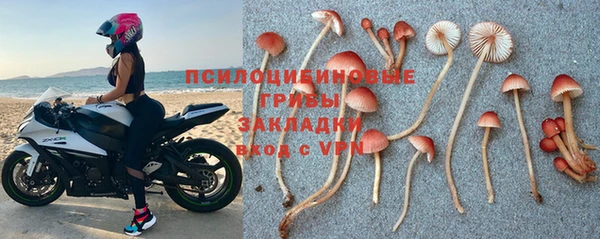 эйфоретик Бородино