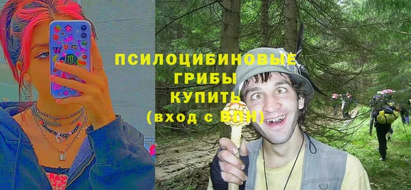 ECSTASY Бронницы