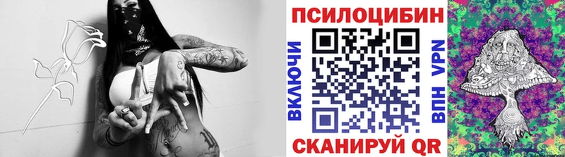 Псилоцибиновые грибы MAGIC MUSHROOMS  Городец 