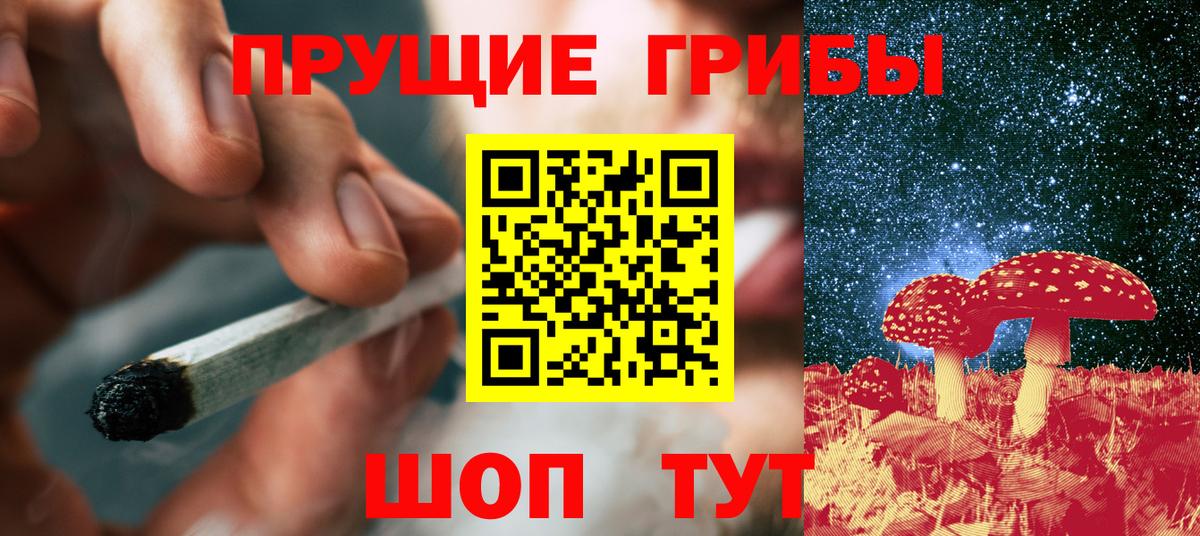 Псилоцибиновые грибы GOLDEN TEACHER  как найти наркотики  Галлюциногенные грибы Magic Shrooms  Городец  Вход с VPN 