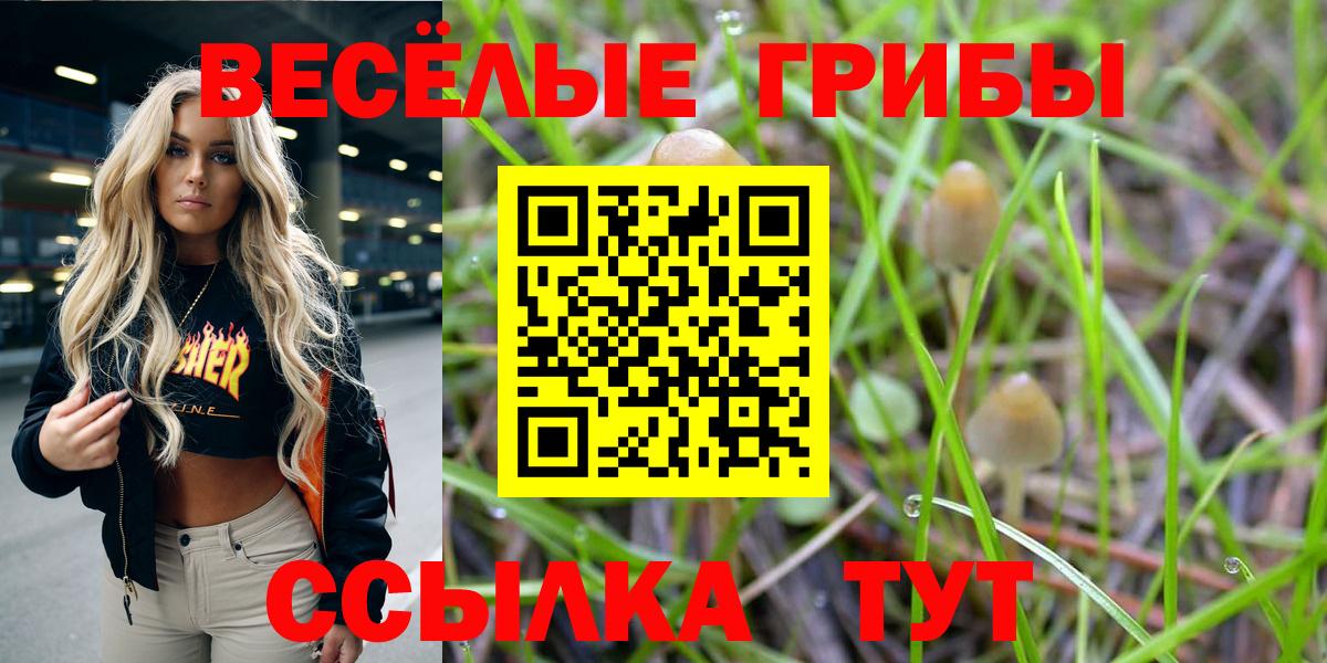 Галлюциногенные грибы MAGIC MUSHROOMS  Городец 